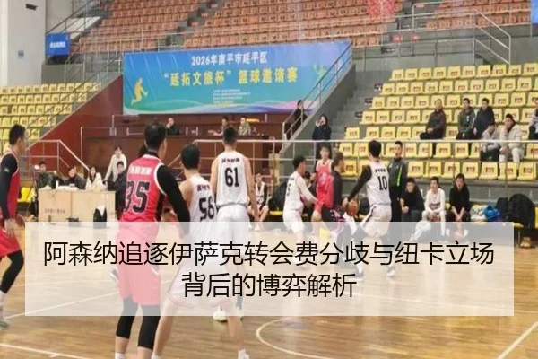 阿森纳追逐伊萨克转会费分歧与纽卡立场背后的博弈解析